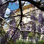 Hotel Canali - Le Cinque Terre