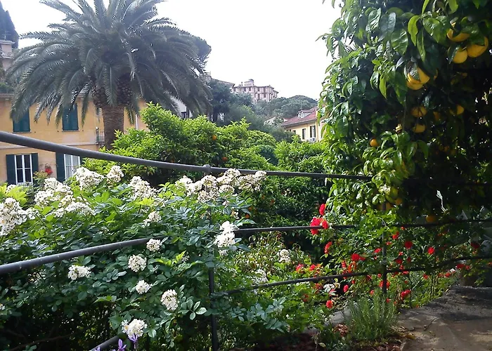 Canali, Portofino Coast